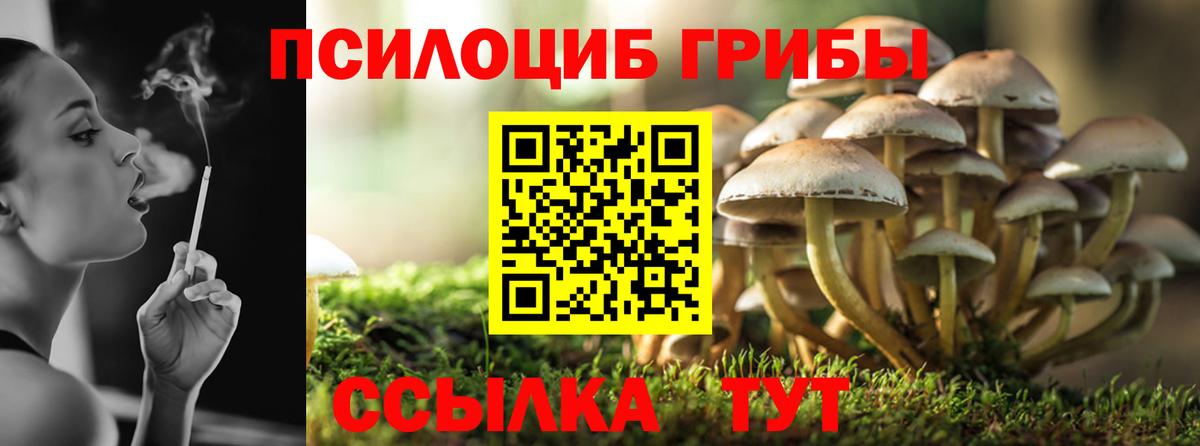 Псилоцибиновые грибы ЛСД Мыски